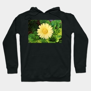 Pale Yellow Daisy Hoodie